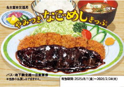 やみつき なごめしきっぷ